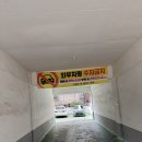 희유헤어 | 서울웨딩스냅 희유사진관에서 스튜디오 + 동작대교 야외스냅 7월 촬영 후기