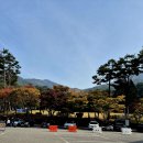 용인자연휴양림1 이미지