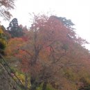 야마가타 릿샤쿠지3 - 곤폰주도에서 계단을 올라 산 정상에! 이미지