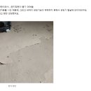마이닥터하우스 이미지