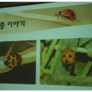 안수정 이미지