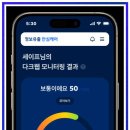 핀브릿지 이미지