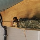 마리네집 민박 이미지