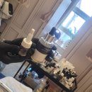 라비에 에스테틱 | [경기 안산] 피부 장벽강화 유산균 mts 목 주름관리 라비에 에스테틱 솔직후기