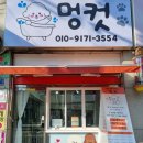 멍컷 네이버블로그