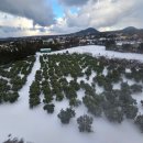 휴양펜션스위스마을 이미지