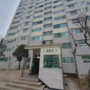 돌마로486번길 네이버블로그