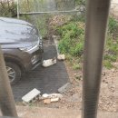 대관령동물병원 이미지