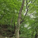 임옥훈/일곱 살 애인 - 경남일보 이미지