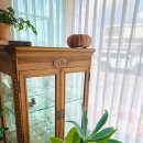 신촌초등학교 (신촌리방면) 이미지