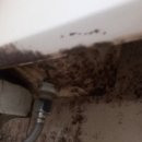 우남콤비아파트 이미지