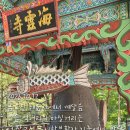 A49 콘서트/브람스 바이올린 협주곡/윤소영/황수미/261013 이미지