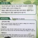 박순자손수제비녹두집 이미지