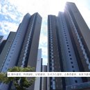 더베스트 이미지