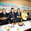 청사오리 이데일리