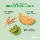 코리아헬스라이프