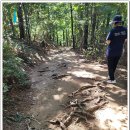 중앙공원 산책로 이미지