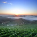 나리목장2 이미지