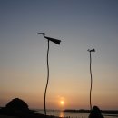 솟대 - 종로구 종로 336 | 솟대