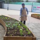 장수자농장 이미지