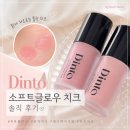 소프트치크 | [란니/딘토] 맑은 물광블러셔 찾는다면 추천!! 소프트글로우 치크 내돈내산 후기!