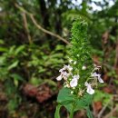 회사가는길 이미지