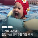 목장풍경민박 | 속초 2박 3일 여행 후기 | 세인트 더 스위트 양양...자작도해수욕장, 청초호유원지, 대관령 양떼목장