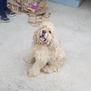 서하남로 이미지