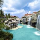 야자수당구장 이미지