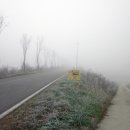 산하 한우농장 이미지