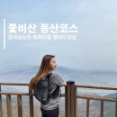 광양 쫓비산 청매실농원 매화마을 축제 구경