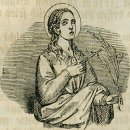 비비아나 이미지