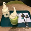 미니스톱아이파크 | 용산 아이파크몰 카페 [식물학] 후기