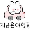 팔도관광여행사 이미지