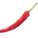 고추가 日서 왔다고? 한반도 자생식물！ 이미지