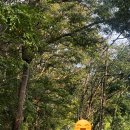 영암마트 | [도갑사/목포]영암 도갑사 템플스테이 후기｜도갑사 산책 + 목포 낙지비빔밥(추석 여행 2일차)_10/7