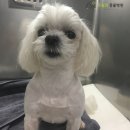 오월의 동물병원 이미지