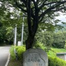 금화계곡주차장 | 대구 근교 아이들이 놀기 좋은 자릿세 없는 칠곡 금화계곡 후기