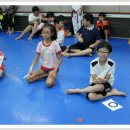 용인대 한얼 태권도 이미지