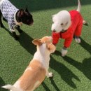 슈라즈하우스 이미지