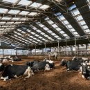 보람목장 이미지