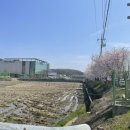 선산대로-16 이미지