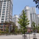 이루어짐 태권도&스포츠센터 이미지