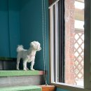 와갱이팬션 이미지