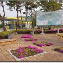 어린이교통공원 이미지