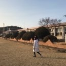 하누리교육