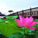 신정호관광지 이미지