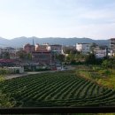 윤상카센터 이미지