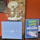 봉계오리 | 구미근교 클럽아이리스 눈썰매장 오리배 이용후기