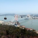 진도우리화원 이미지